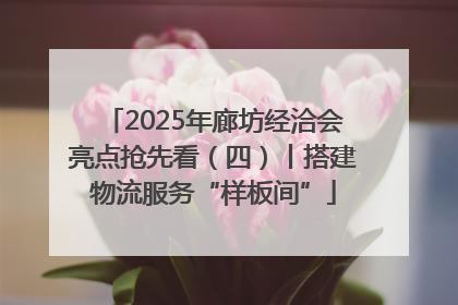 2025年廊坊经洽会亮点抢先看（四）丨搭建物流服务“样板间”