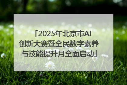 2025年北京市AI创新大赛暨全民数字素养与技能提升月全面启动