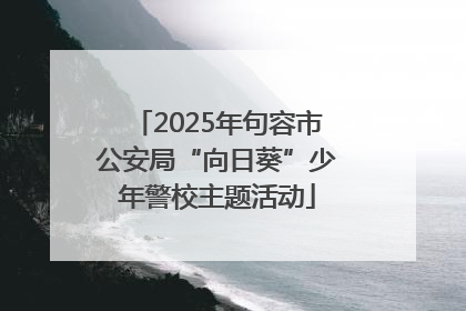 2025年句容市公安局“向日葵”少年警校主题活动