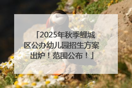 2025年秋季鲤城区公办幼儿园招生方案出炉！范围公布！