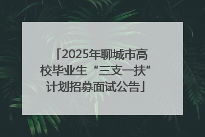 2025年聊城市高校毕业生“三支一扶”计划招募面试公告