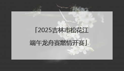 2025吉林市松花江端午龙舟赛燃情开赛