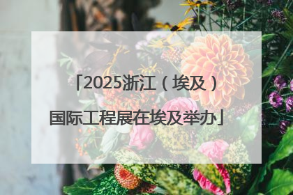 2025浙江（埃及）国际工程展在埃及举办