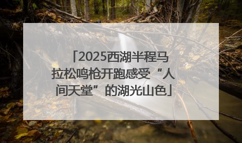 2025西湖半程马拉松鸣枪开跑感受“人间天堂”的湖光山色