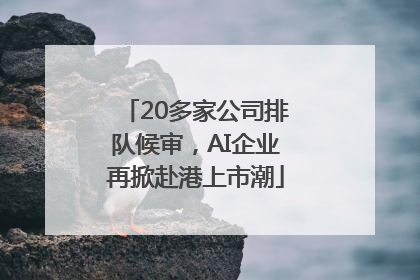 20多家公司排队候审，AI企业再掀赴港上市潮