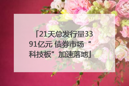 21天总发行量3391亿元 债券市场“科技板”加速落地