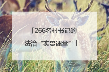 266名村书记的法治“实景课堂”