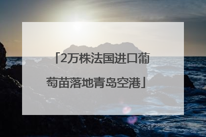2万株法国进口葡萄苗落地青岛空港