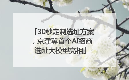 30秒定制选址方案，京津冀首个AI招商选址大模型亮相