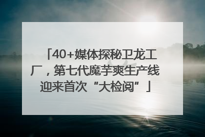 40+媒体探秘卫龙工厂，第七代魔芋爽生产线迎来首次“大检阅”