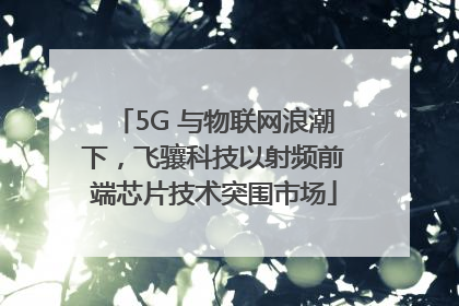 5G 与物联网浪潮下，飞骧科技以射频前端芯片技术突围市场