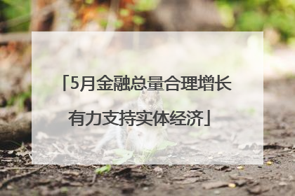 5月金融总量合理增长 有力支持实体经济