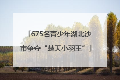 675名青少年湖北沙市争夺“楚天小羽王”