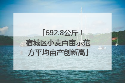 692.8公斤！宿城区小麦百亩示范方平均亩产创新高