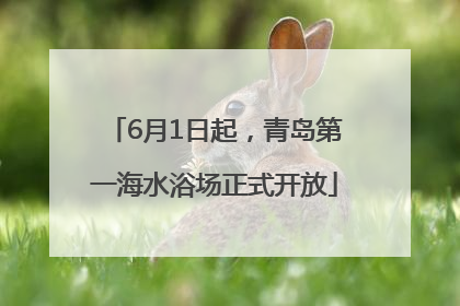 6月1日起，青岛第一海水浴场正式开放