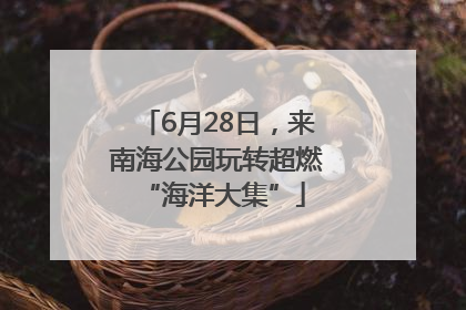 6月28日，来南海公园玩转超燃 “海洋大集”