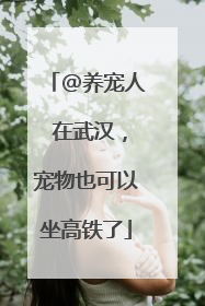 @养宠人 在武汉，宠物也可以坐高铁了