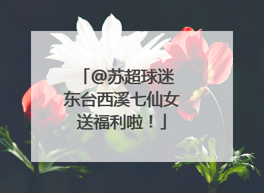 @苏超球迷 东台西溪七仙女送福利啦！