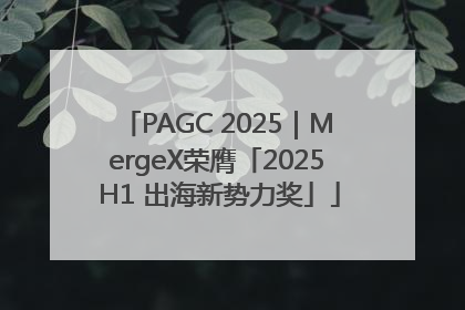 PAGC 2025｜MergeX荣膺「2025 H1 出海新势力奖」